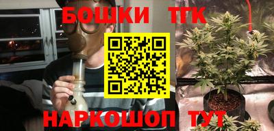 гашик Балахна
