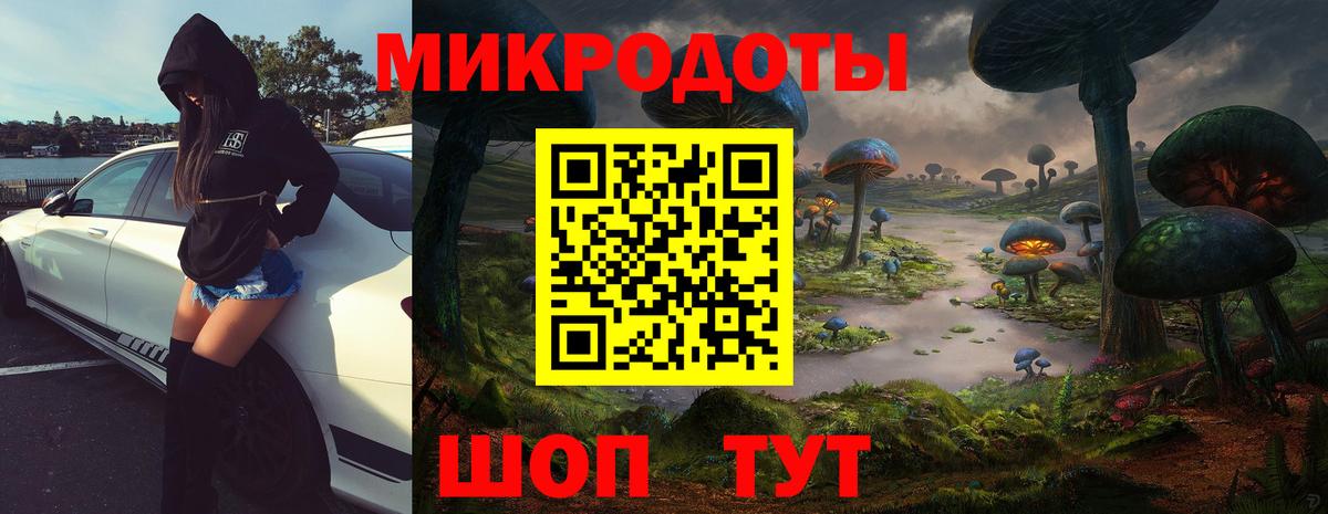 Галлюциногенные грибы мухоморы  наркошоп  Артём  Галлюциногенные грибы Psilocybe  Вход с VPN 